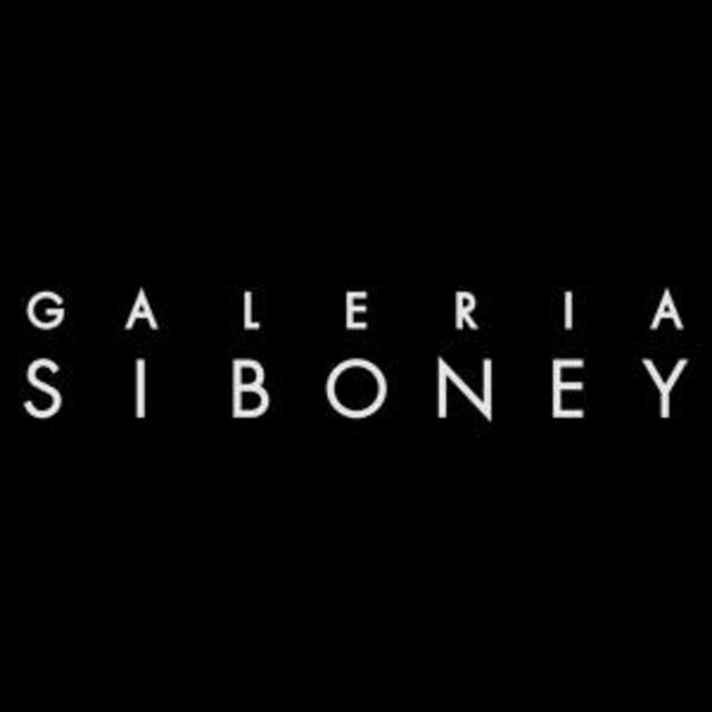 Galería Siboney