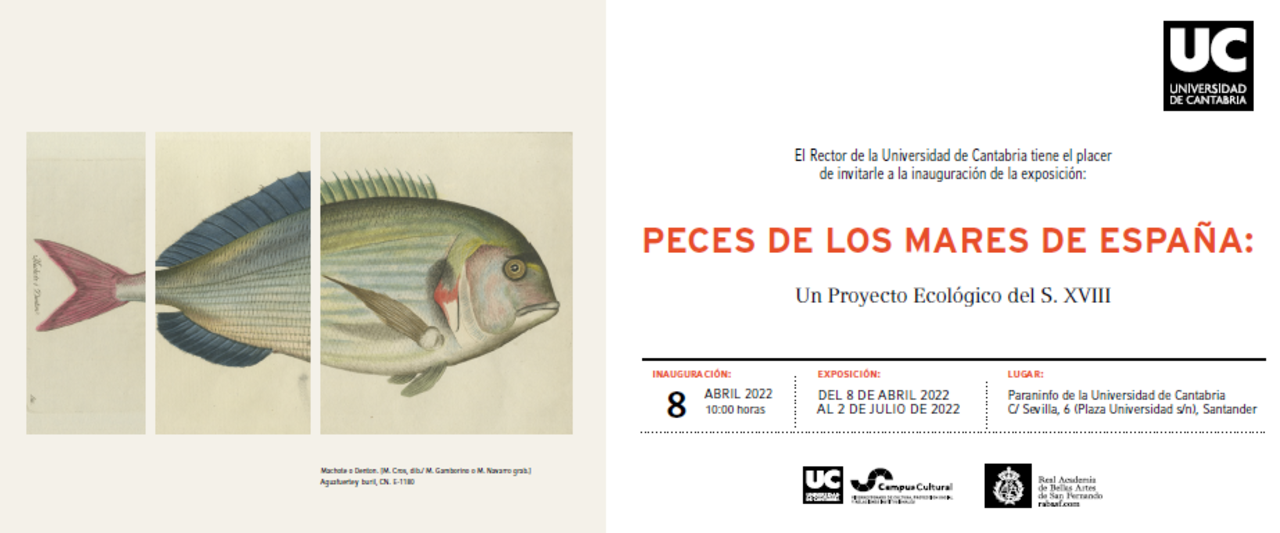 Peces de los mares de España: un proyecto ecológico del siglo XVIII
