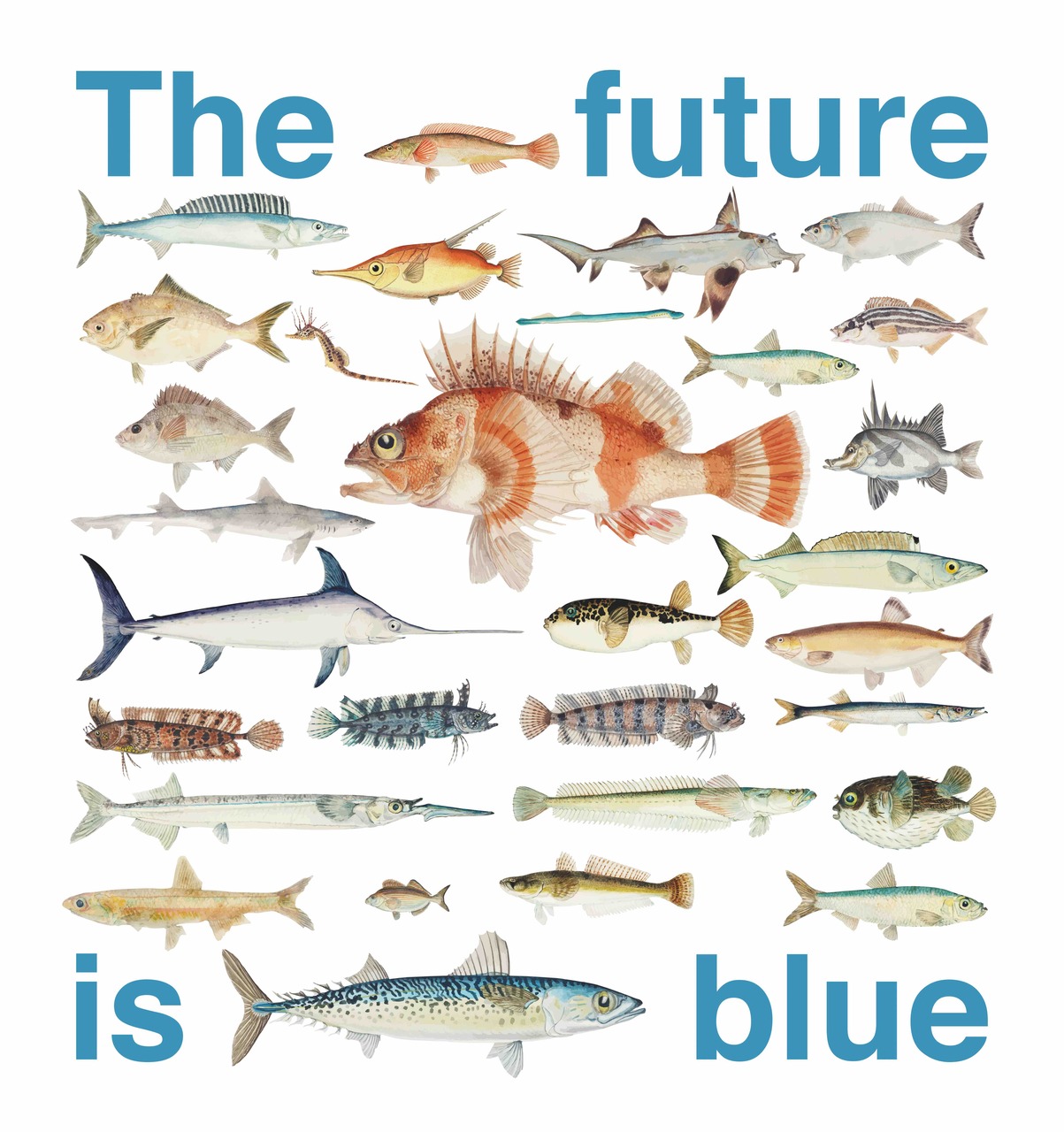 Exposición Tipos 24: "The future is blue” 