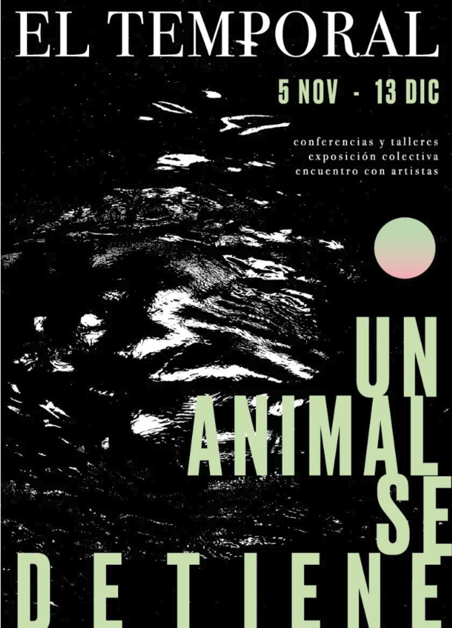 "Trataré de ser un animal lo más correcto posible", con Marta Mantecón