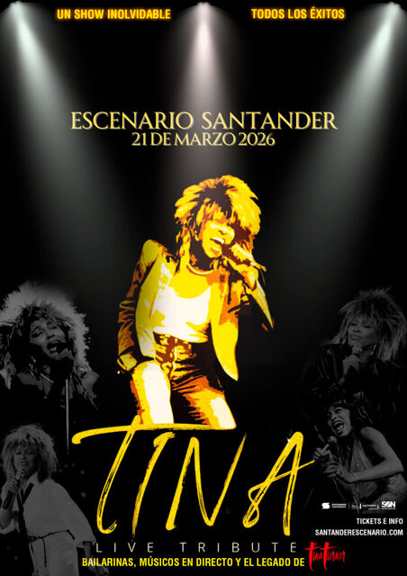 TINA, el show homenaje a Tina Turner