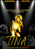 TINA, el show homenaje a Tina Turner