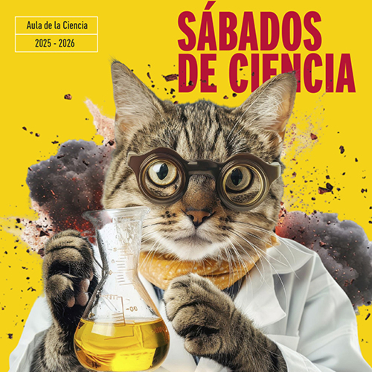 "¿Cómo se estudia el cuerpo humano?" en Sábados de Ciencia