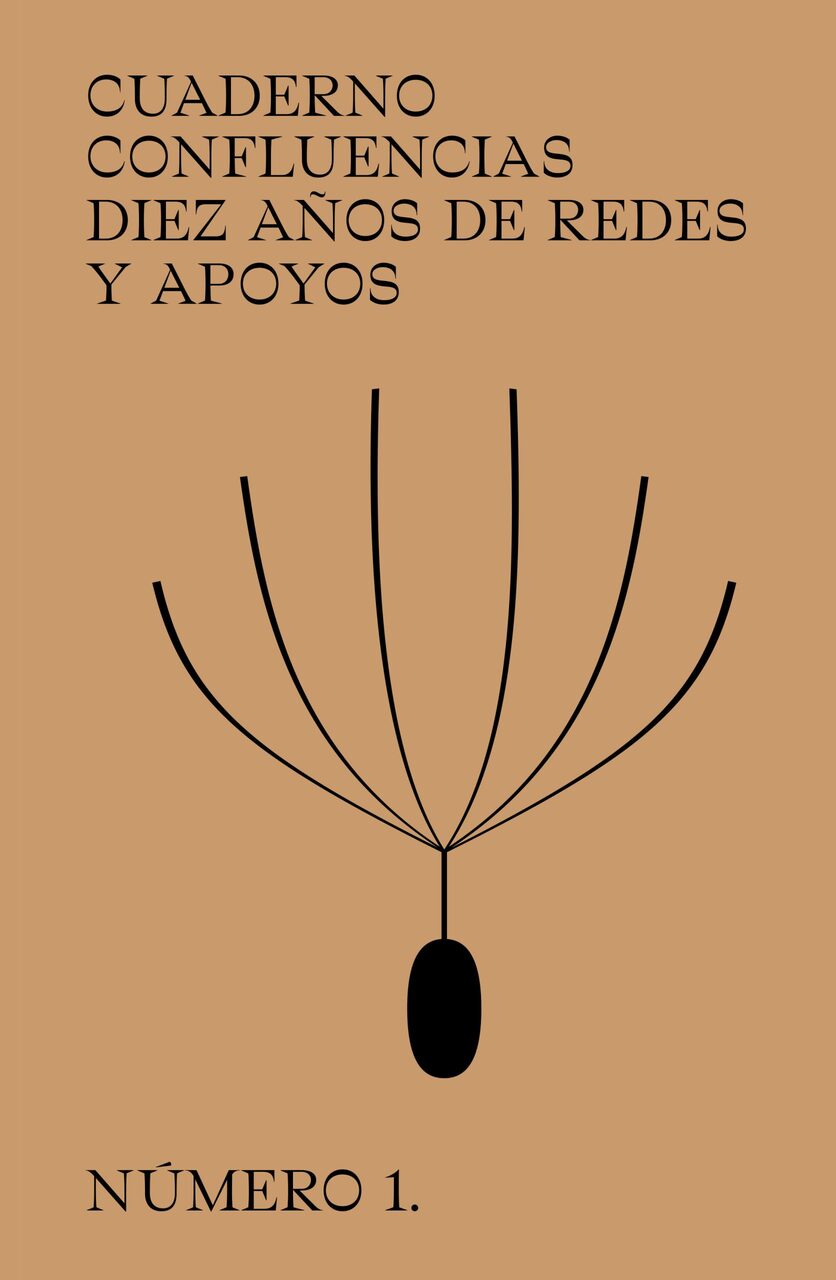 Presentación del "Cuaderno Confluencias. Diez años de redes y apoyos"