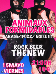 Animaux Formidables, dúo de garage fuzz noise