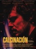 Presentación de la película “Calcinación”, dirigida por Luis Navarrete