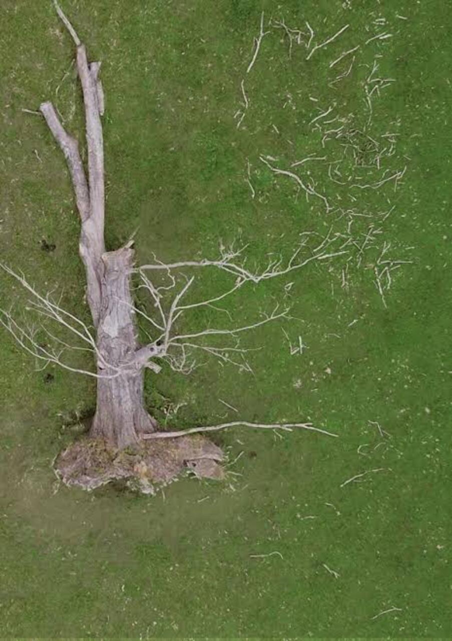 Cine sin Niebla 2026: estreno del documental "Sobre el túmulo" 