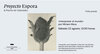 "Interpretar el mundo", visita guiada a la exposición "Fotografía como biografía. Colección Lola Garrido" 