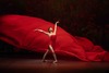 Lucía Lacarra Ballet presenta "Lost Letters"