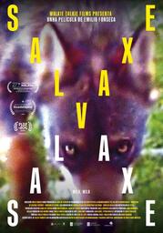 "Salvaxe, salvaxe", proyección con presencia del director y la realizadora
