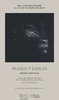 "Mundo y espejo", obras del artista Pedro Pertejo
