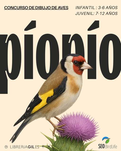 "Pío pío". Concurso de dibujo de aves
