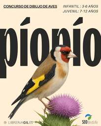 "Pío pío". Concurso de dibujo de aves