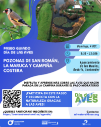 Paseo guiado para celebrar el Día de las Aves
