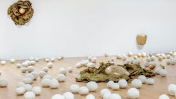 Visita comentada a la exposición "Solange Pessoa: Del día o de la noche"
