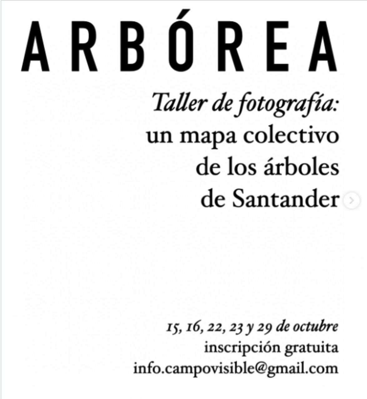 Arbórea. Taller de fotografía: un mapa colectivo de los árboles de Santander