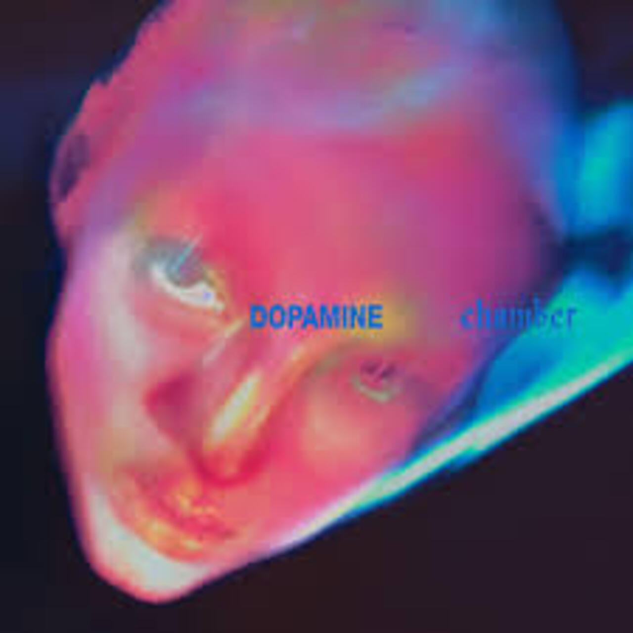 Listening Party del disco "Dopamine Chamber", de Fontaines D.C.