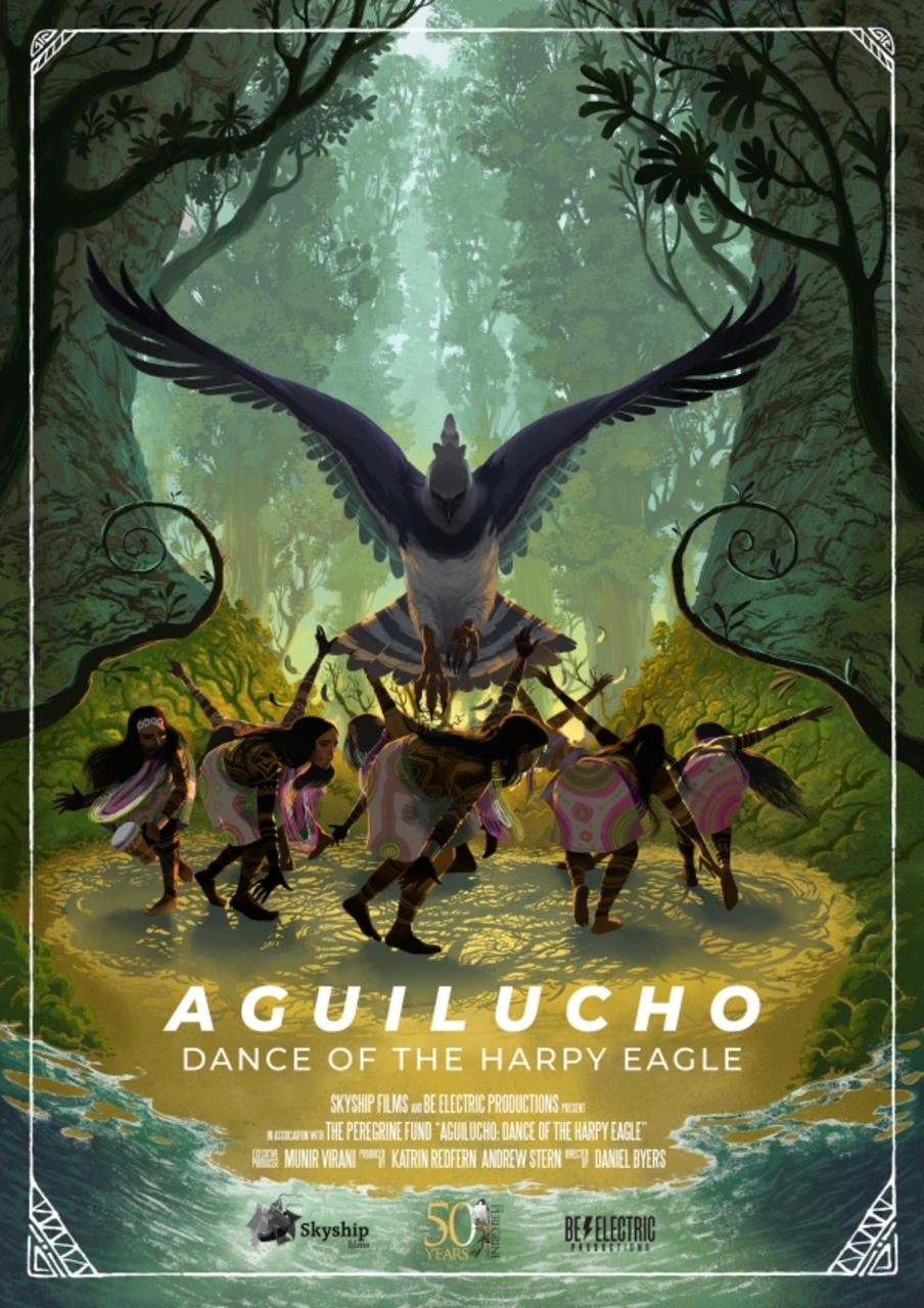 Pajareros 2026: "Tierra Alta" y "Aguilucho", sesión doble