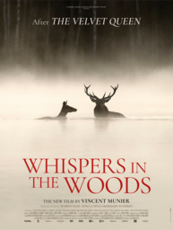 Pajareros 2026: "El Canto de los Bosques", de Vincent Munier