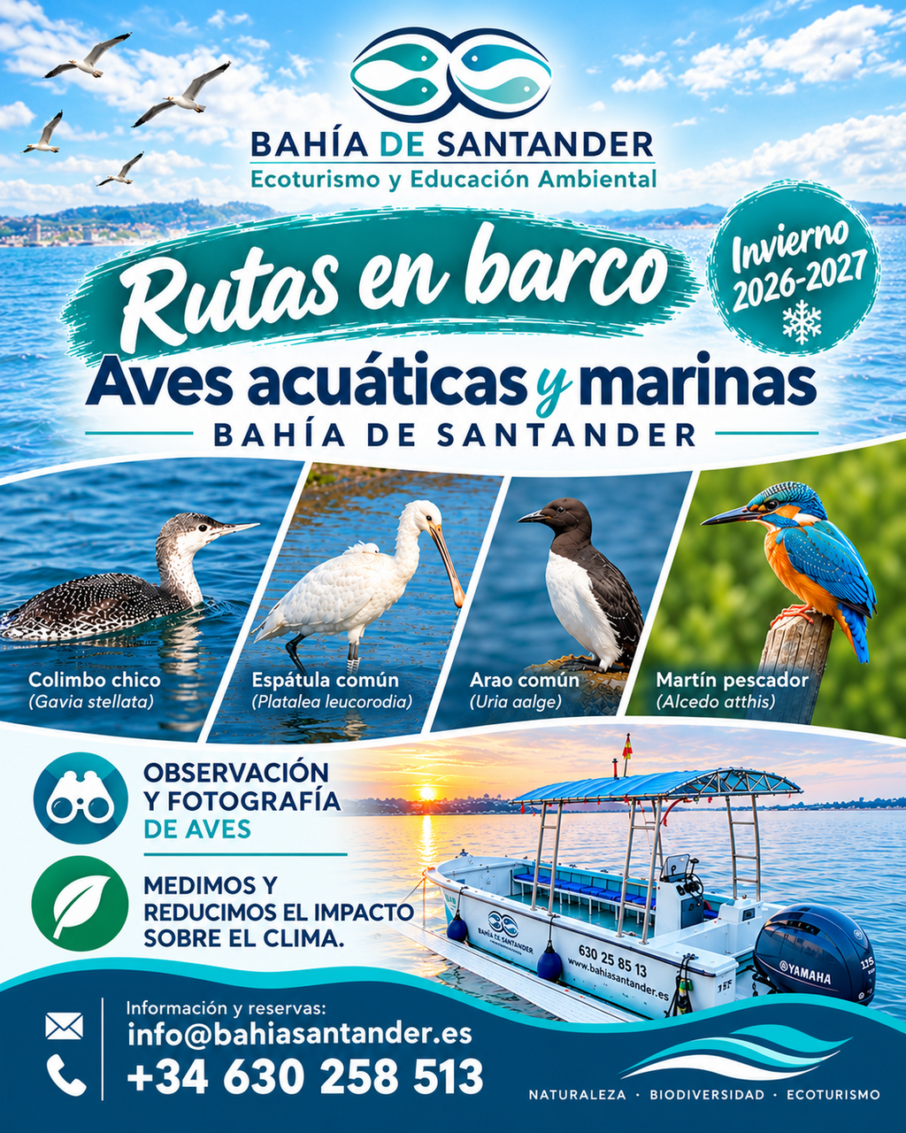 Rutas en Barco para la observación y fotografía de Aves Acuáticas y Marinas