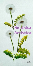 Escuela de Botánica Artística