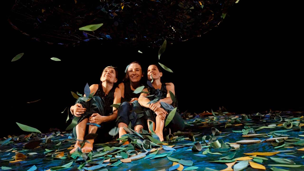 "Sotobosque, la vida bajo los árboles", espectáculo para bebés de la compañía Inspira Teatre