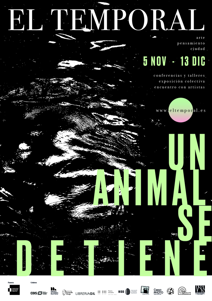El Temporal presenta su quinta edición: fotografía, cine, arte y pensamiento en torno al animal como metáfora (y misterio) de la creación artística