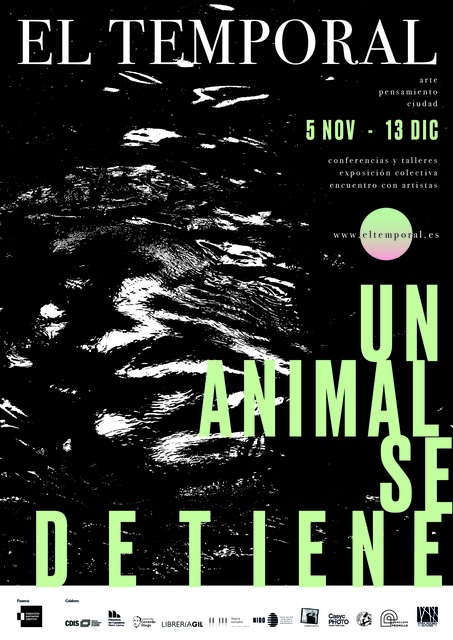 El Temporal presenta su quinta edición: fotografía, cine, arte y pensamiento en torno al animal como metáfora (y misterio) de la creación artística